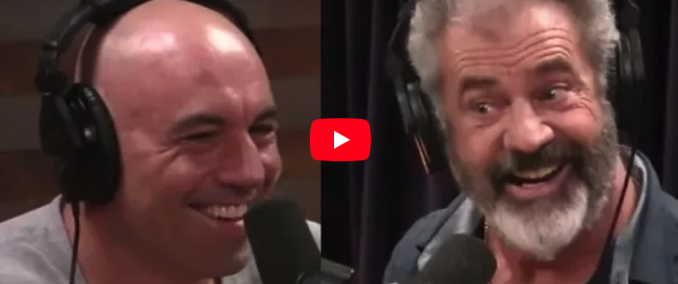 Joe Rogan Interview with Mel Gibson and Dr. Riordan