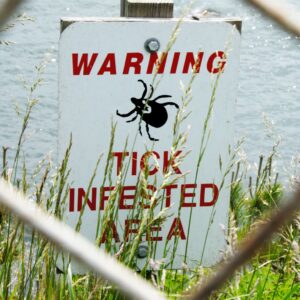 a sign that reads "Warning. Tick infested area" in a patch of grass in front of a body of water.