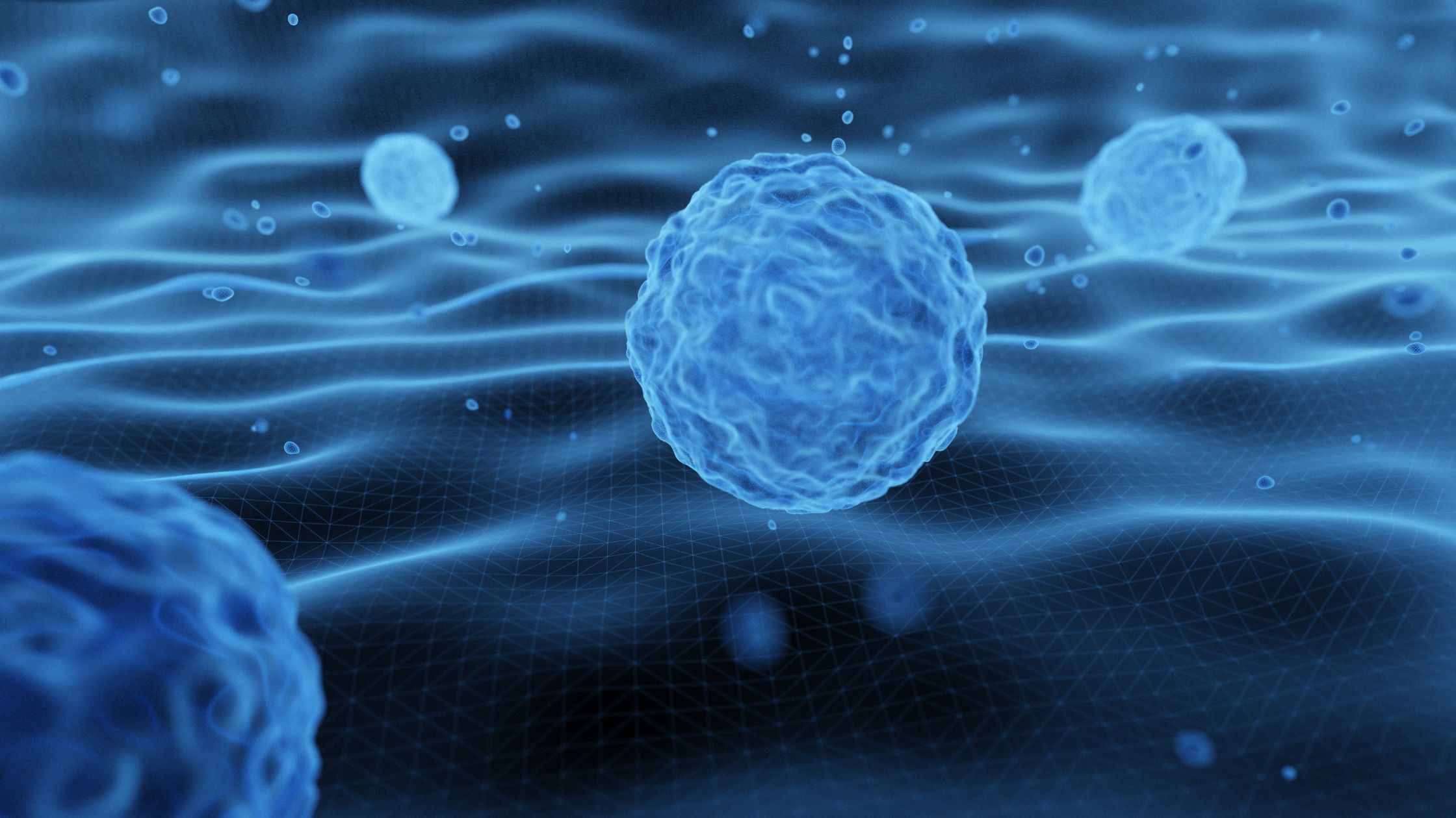Stem Cell Therapy: Where Should You Go for the Best Stem Cell Treatment?