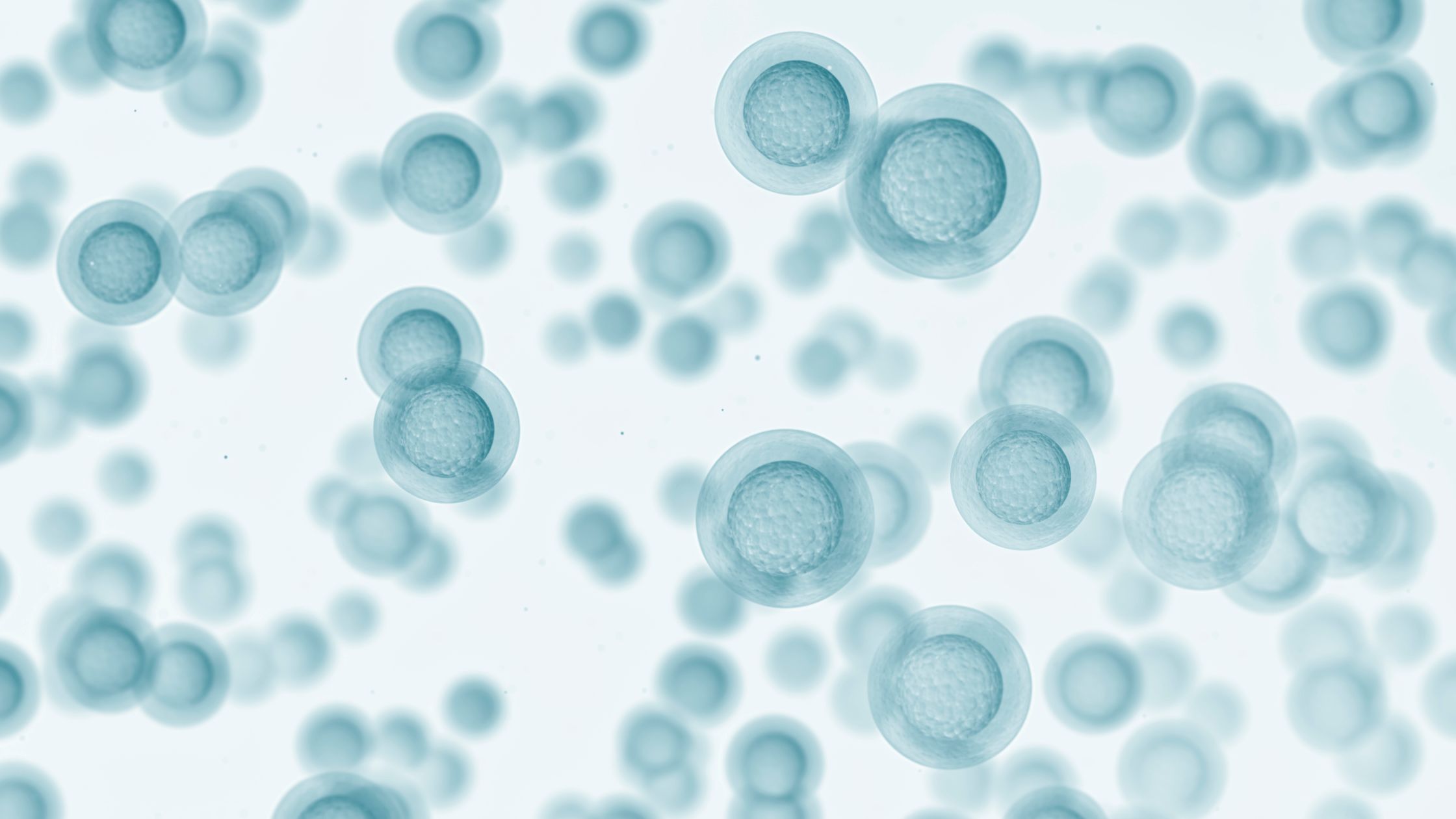 What Are Exosomes—and Why Do They Matter in Stem Cells?